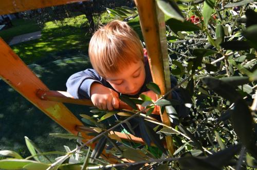 Hotel Residence La Colombera