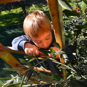 Hotel Residence La Colombera cazare Riva del Garda