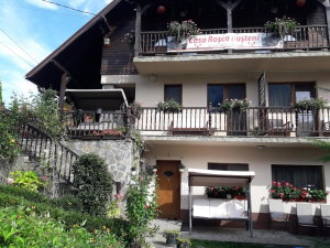 Hotel Casa Rosca Busteni cazare Busteni