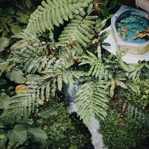 Hotel Maha Hills cazare Sukasada