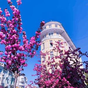 Hotel Hostel Musala cazare Varna