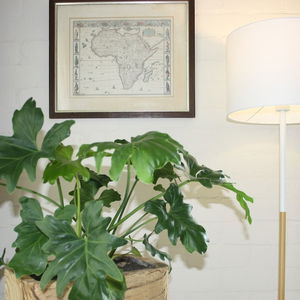 Hotel Morgen Guest House cazare Cape Town