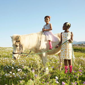 Hotel Lighthouse Farm Backpackers Lodge cazare Cape Town