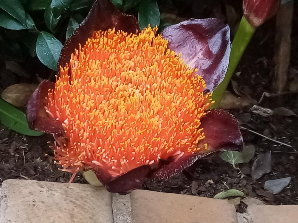 Hotel Dove'S Nest Guest House