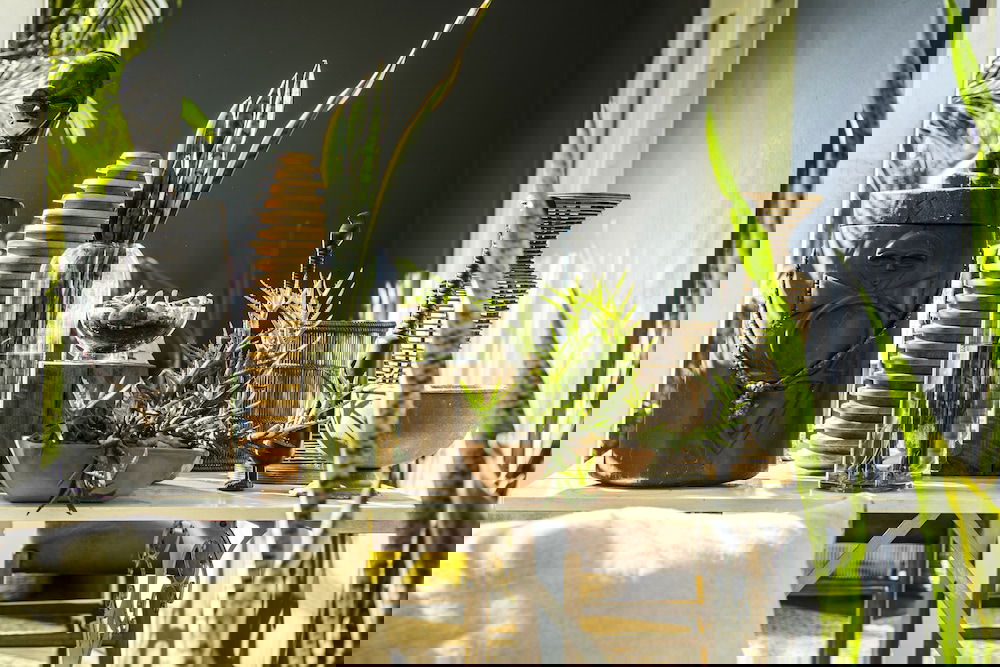 Hotel The Concierge Boutique Bungalows