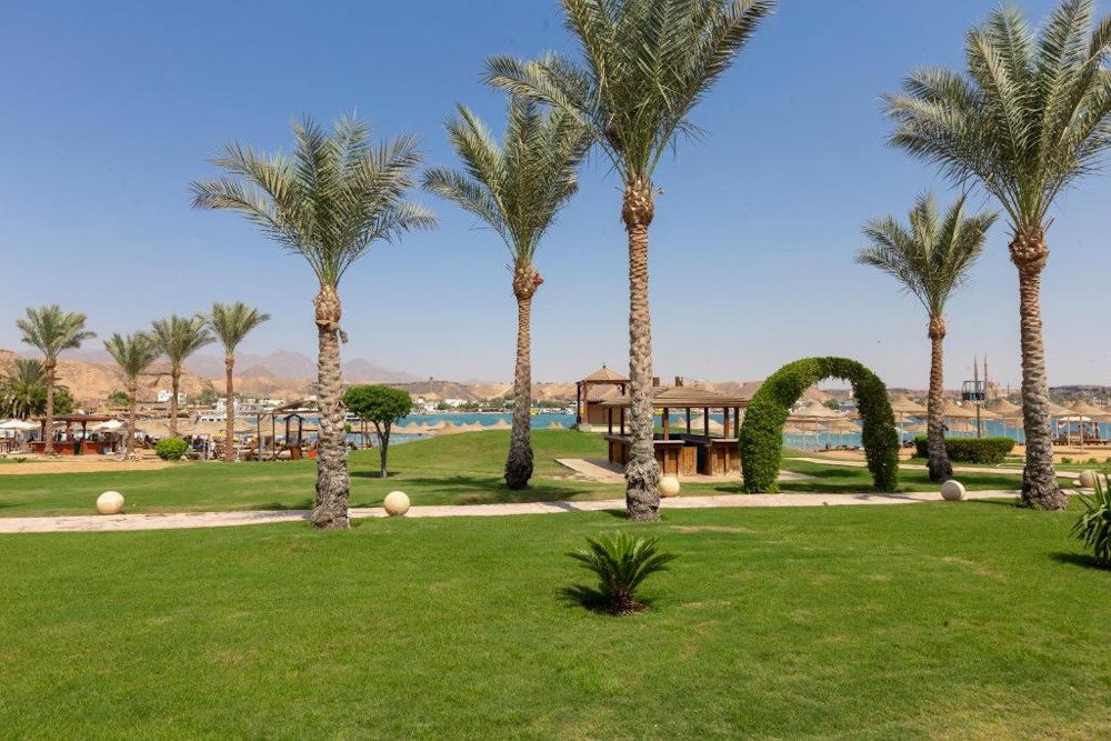 dal travel Xperience St. George