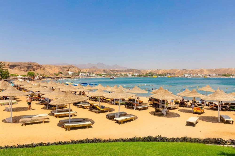 dal travel Xperience St. George