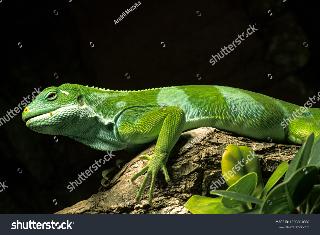 Hotel El Duque Centro Internacional