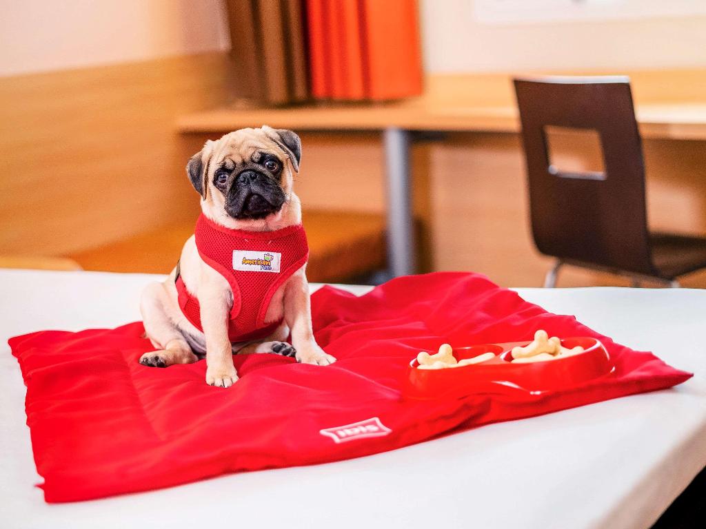 Hotel Ibis Sao Paulo Interlagos