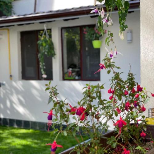Pension Casa Del Sol Predeal