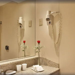 Hotel Windsor Excelsior Copacabana cazare Rio de Janeiro