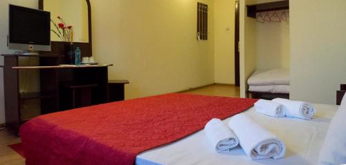 Hotel Dacor