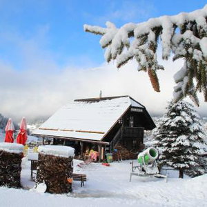 Hotel Der Kirchheimerhof-Superior Refugium cazare Bad Kleinkirchheim