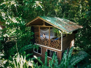 Hotel Palmar Beach Lodge cazare Bastimentos