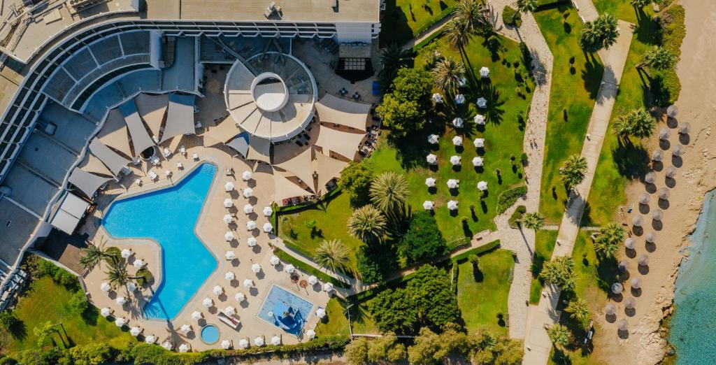 dal travel Louis Imperial Beach