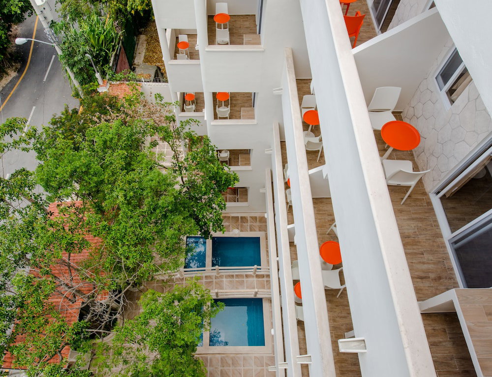 Casa Del Arbol Condo