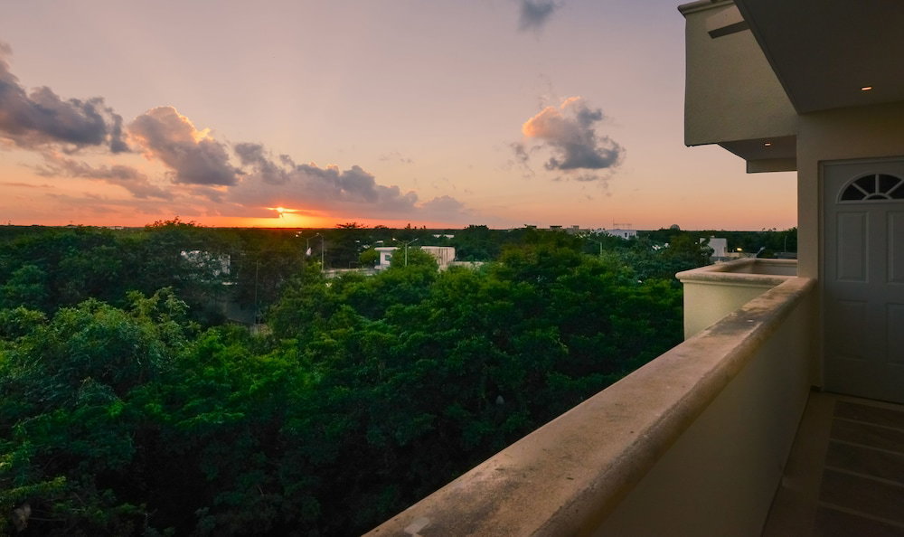 Casa Del Arbol Condo