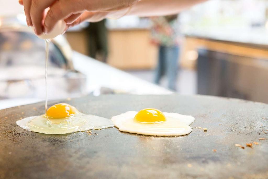 Hotel Best Western Plus Hotel Bakeriet