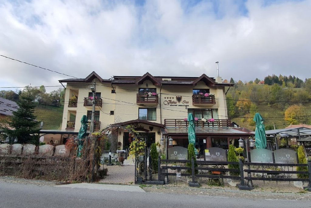 Hotel Pensiunea Vlahia Inn