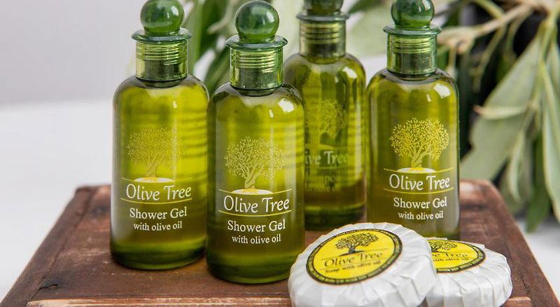 Hotel Olive Tree Suites