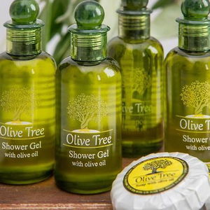 Sejur Olive Tree Suites vacanta Fira