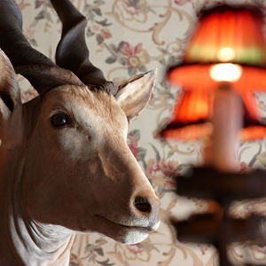 Hotel De Orangerie cazare Bruges