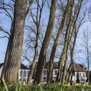Hotel Navarra cazare Bruges