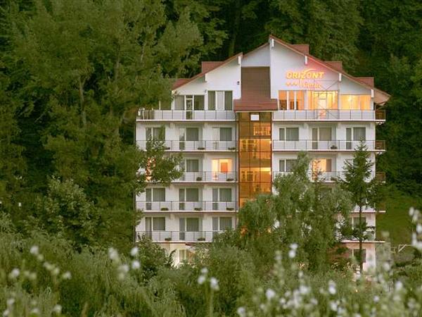 Hotel Hotel Orizont Cozia