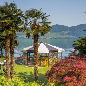 Hotel Hotel Seerausch cazare Beckenried
