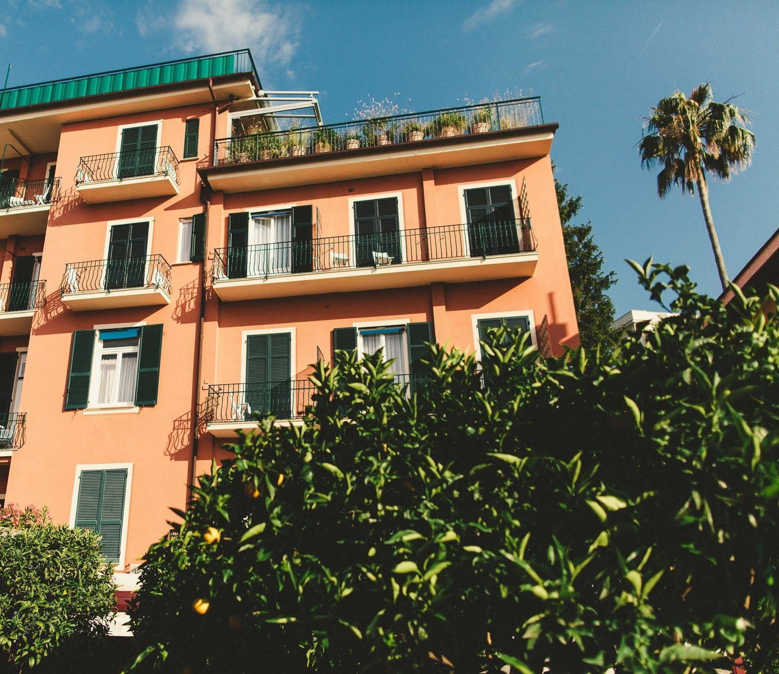 Hotel Hotel Minerva