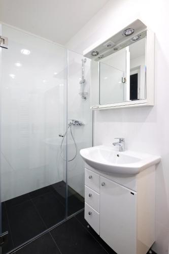 Hotel Downtown Belgrade Apartments