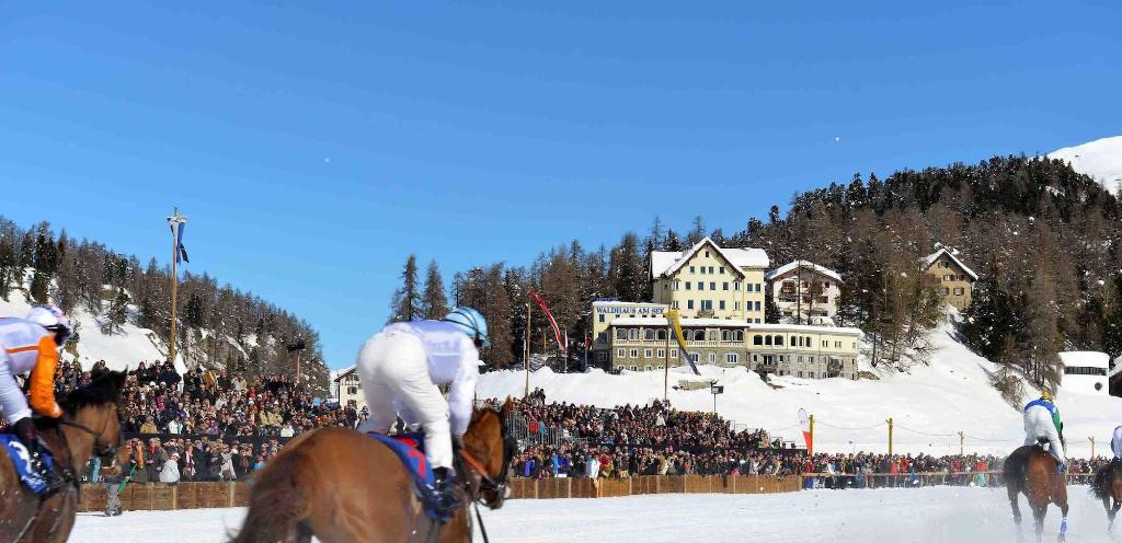 Hotel Hotel Waldhaus Am See