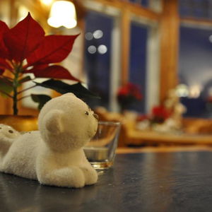 Hotel Soldanella cazare St. Moritz