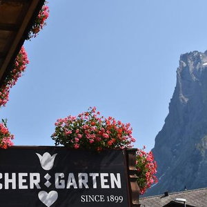 Hotel Gletschergarten Chalet-Hotel cazare Grindelwald