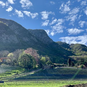 Hotel Bigatt Hotel & Restaurant cazare Lugano