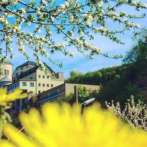 Hotel Christkindlwirt cazare Steyr