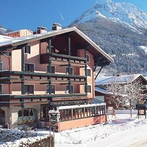 Hotel Alpina cazare Kleinarl