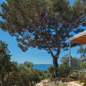 Hotel Valamar Collection Isabella Island Resort - Valamar Isabella Villas cazare Porec