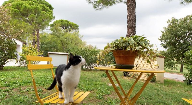 Hotel Agriturismo Campanacci