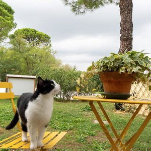 Hotel Agriturismo Campanacci cazare Faenza