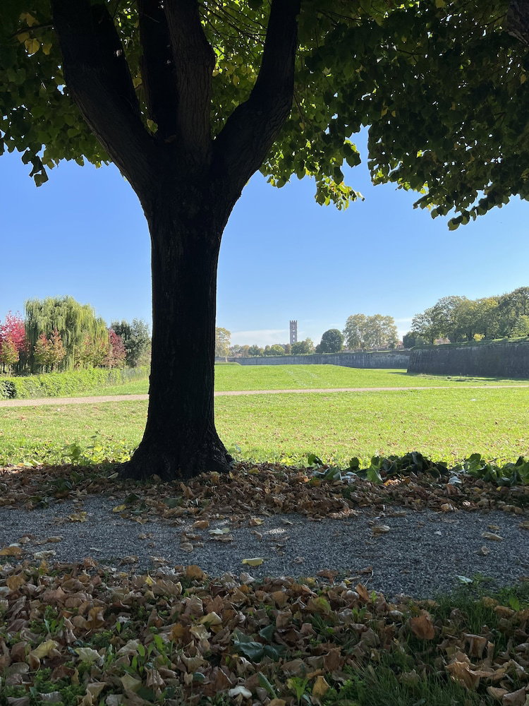 Civico41 Lucca City Center Apartment
