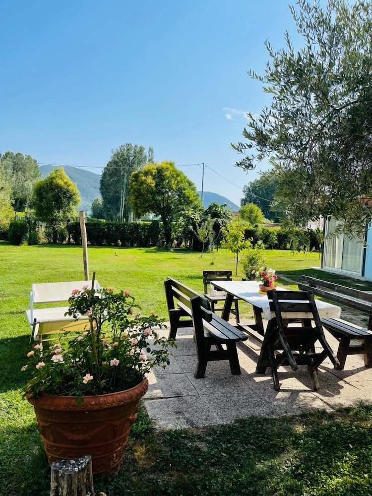 La Rosa Nel Verde