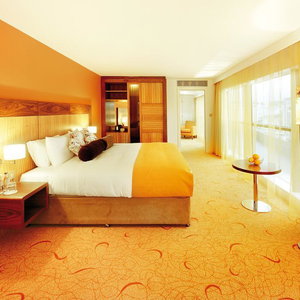 Hotel The Glasshouse cazare Sligo