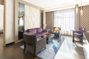 Hotel Hormuz Grand Muscat, A Radisson Collection Hotel cazare Seeb
