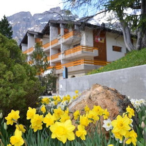 Hotel Alex cazare Leukerbad