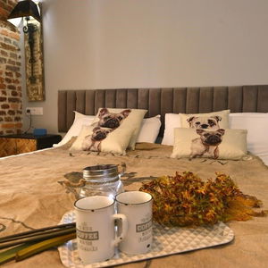 Hotel Centersuite Santander cazare Santander