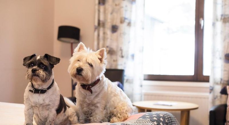 Hotel Skärgårdshotellet