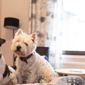 Hotel Skärgårdshotellet cazare Nynaeshamn