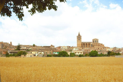 dal travel Son Cleda