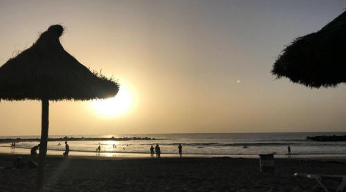 Dream View